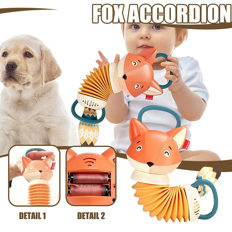 Music Accordion-Fox